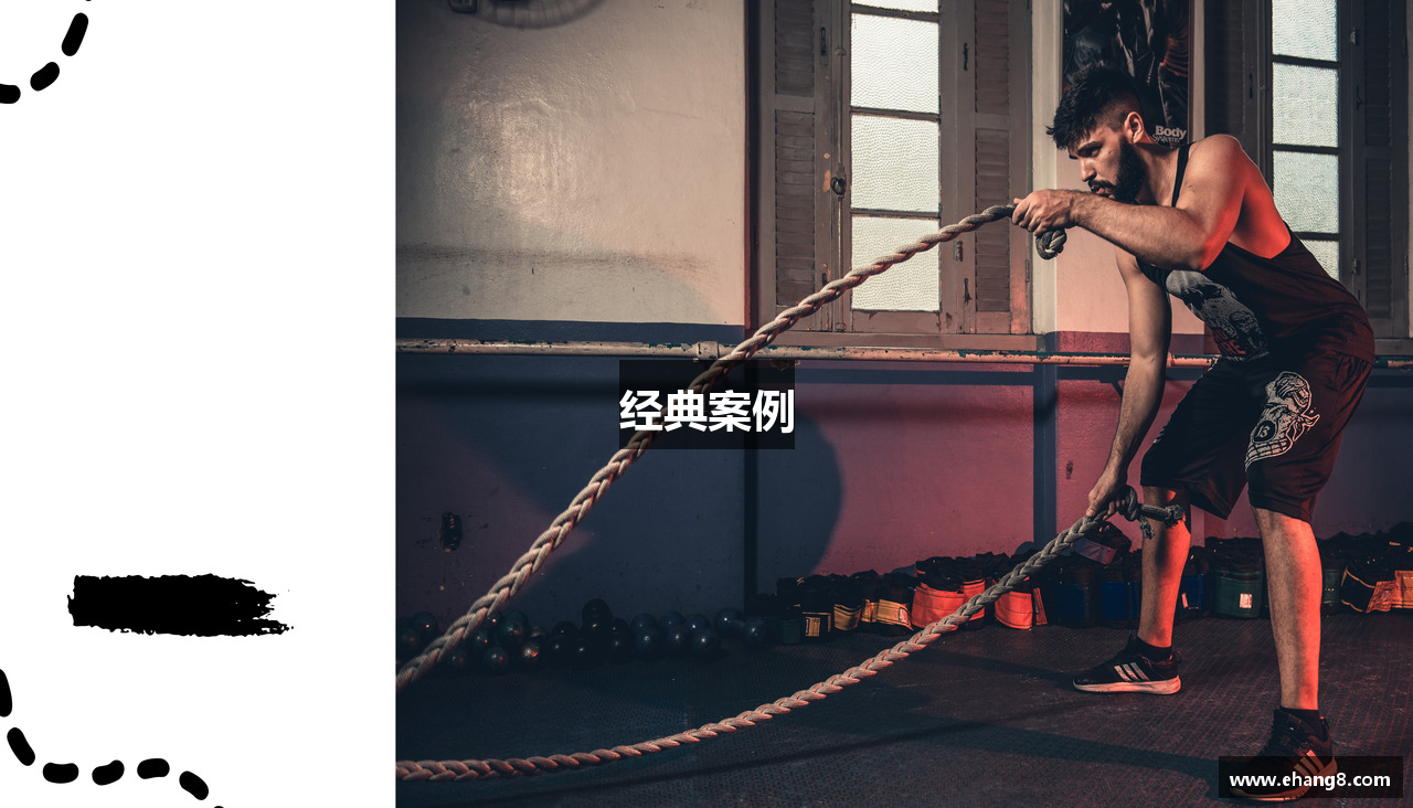 经典案例